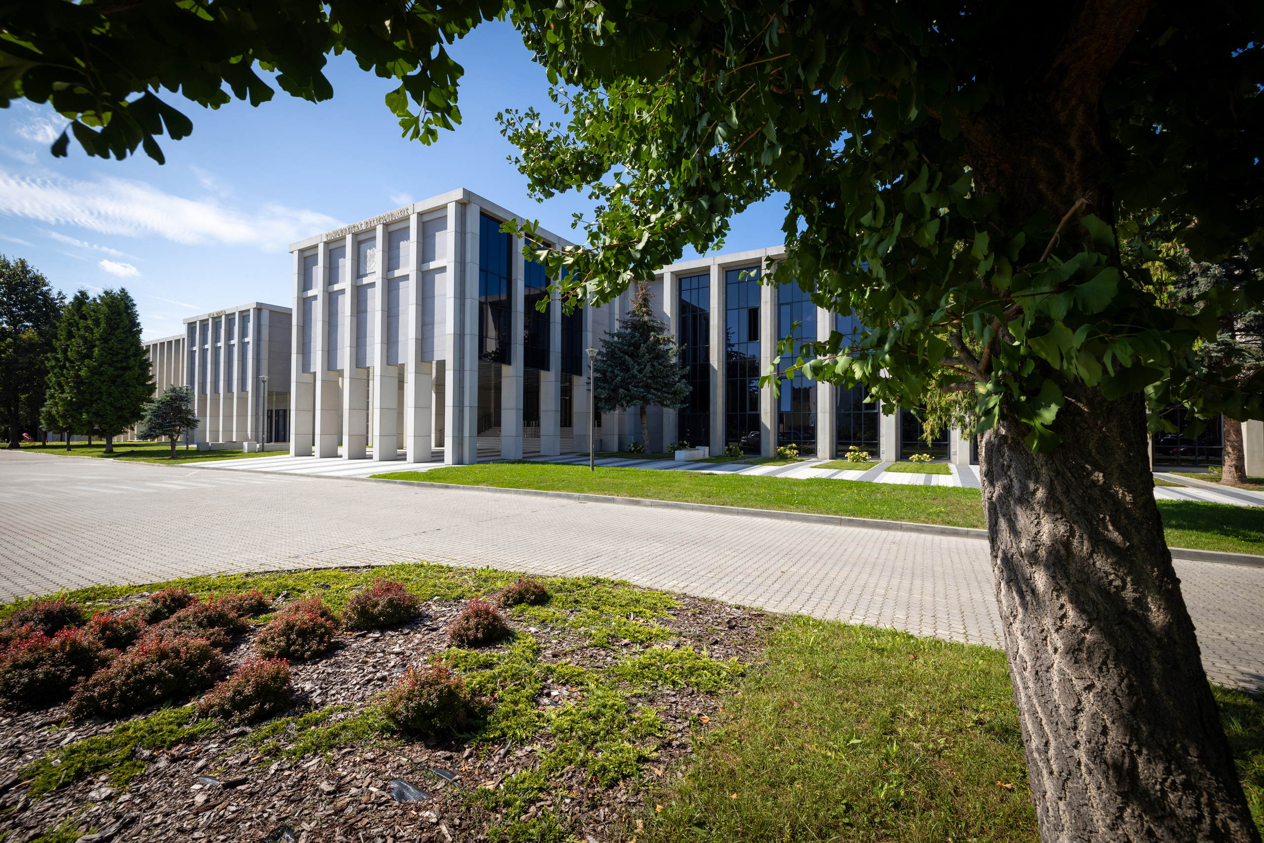Six scientists from the University of Rzeszów among the world's most influential researchers